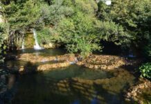 The Sultan’s Strange Relationship with Modern Technology